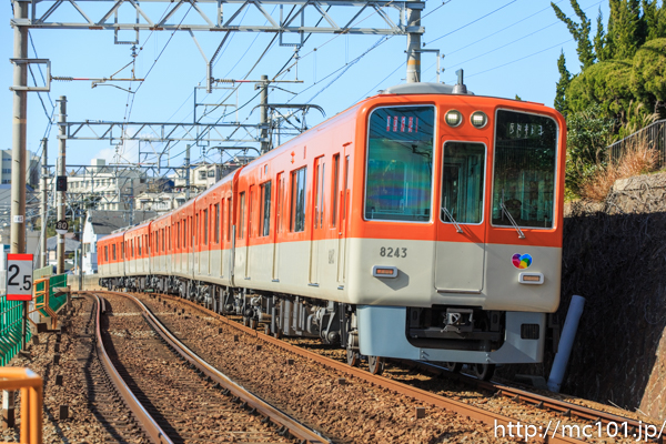 [写真]