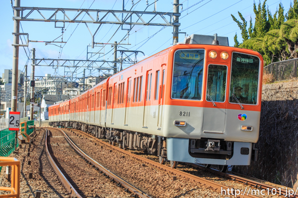 [写真]