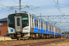 [東北本線岩切～陸前山王間] 5570D、HB-E210系C-4編成他