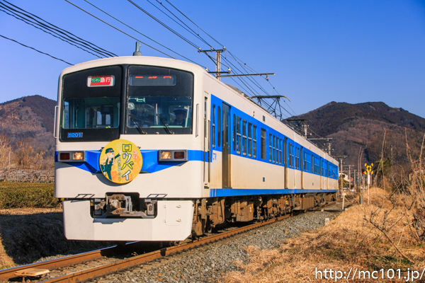 [写真]