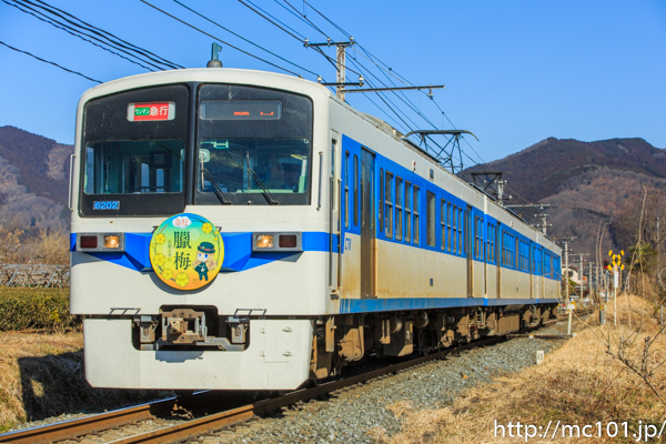 [写真]