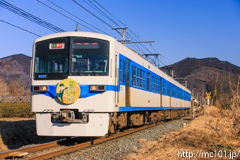 [秩父鉄道野上～長瀞間] 1001列車急行ロウバイ1号、6001F