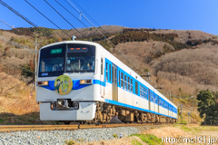 [秩父鉄道波久礼～樋口間] 1003列車急行ロウバイ3号、6003F、現在はこの場所に入ることはできません。