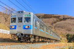 [秩父鉄道波久礼～樋口間] 1521列車、5003F、現在はこの場所に入ることはできません。