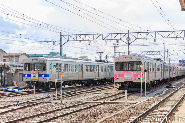 [写真]