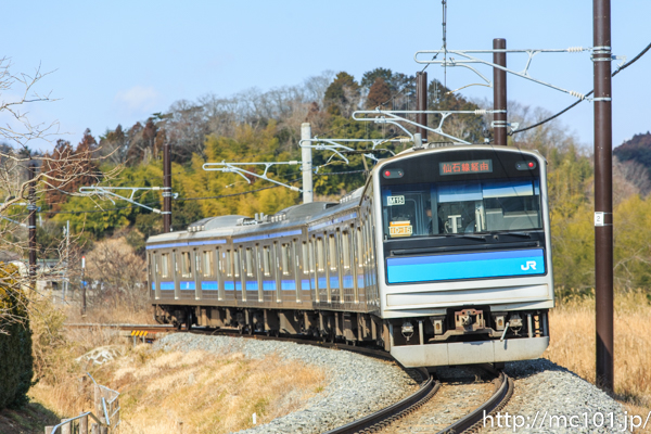 [写真]
