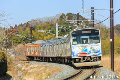 [仙石線手樽～陸前富山間] 822S、205系M2編成、後追い