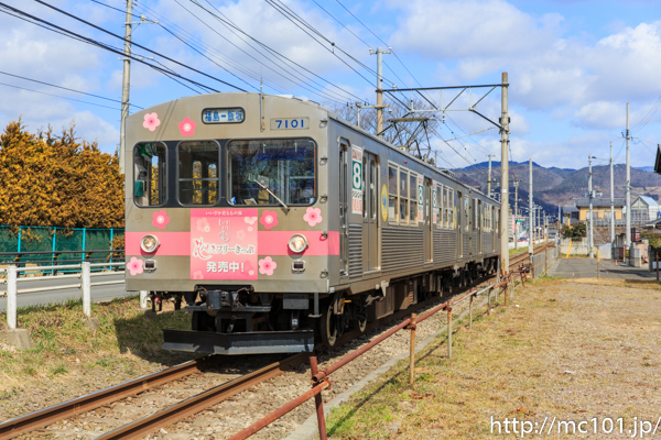 [写真]