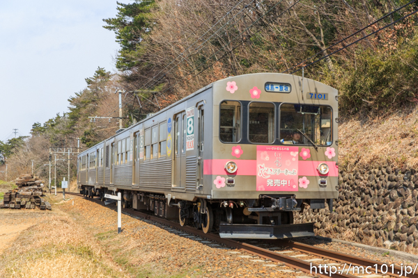 [写真]
