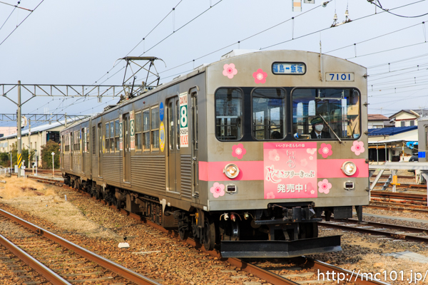 [写真]