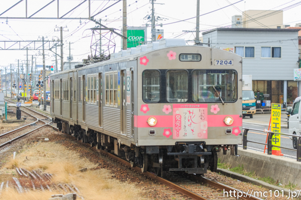 [写真]