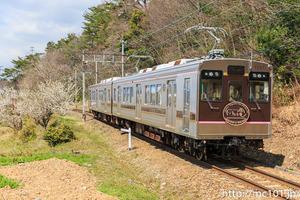 [写真]