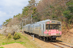 [福島交通飯坂線美術館図書館前～岩代清水間] 36列車、7105F