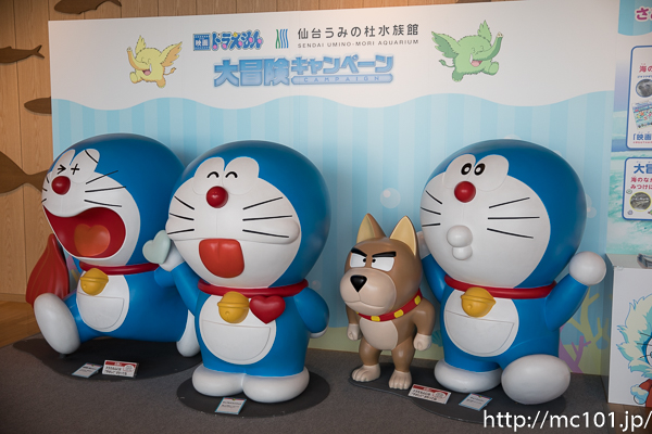 [写真]