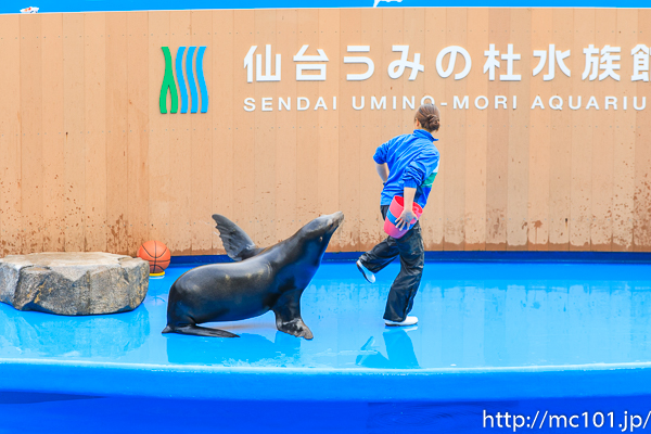 [写真]