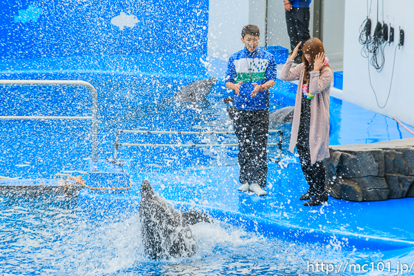 [写真]
