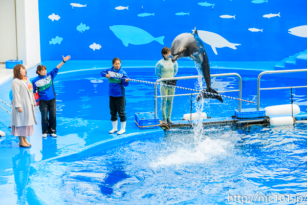 [写真]