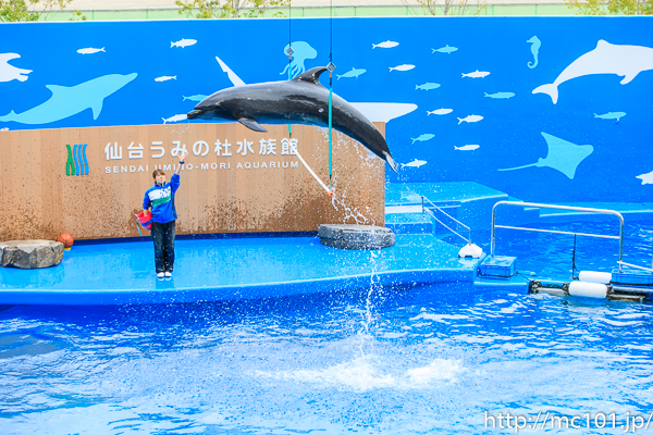 [写真]