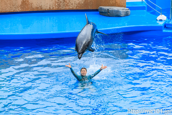 [写真]