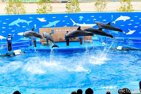 [写真]