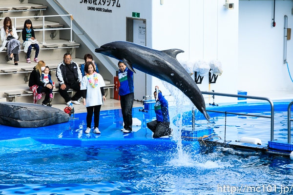 [写真]