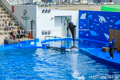 [仙台うみの杜水族館] イルカ・アシカのパフォーマンス(14時30分の回)(6)