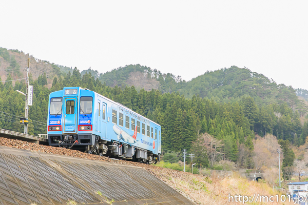 [写真]