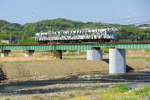 [写真]