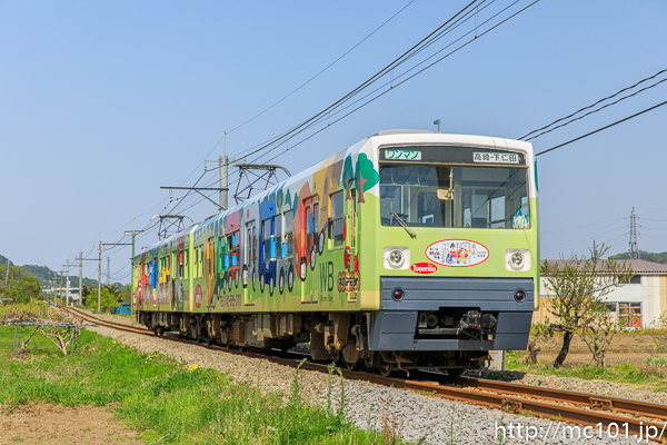 [写真]