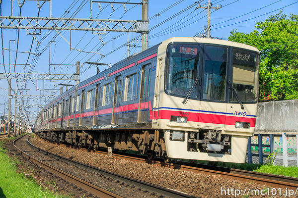 [写真]