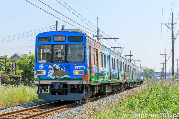 [写真]
