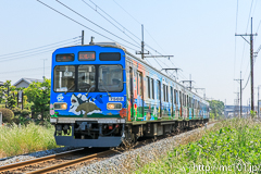 [秩父鉄道石原～ひろせ野鳥の森間] 臨時列車、7500系7502F、急行広瀬川原行表示