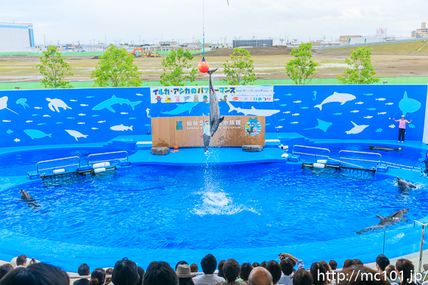 [写真]