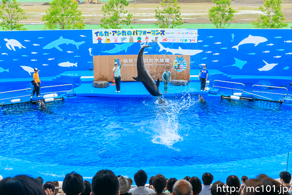 [写真]