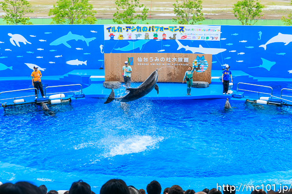 [写真]