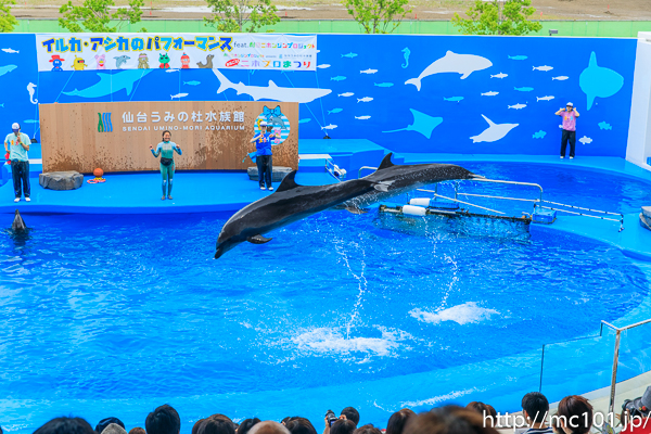 [写真]