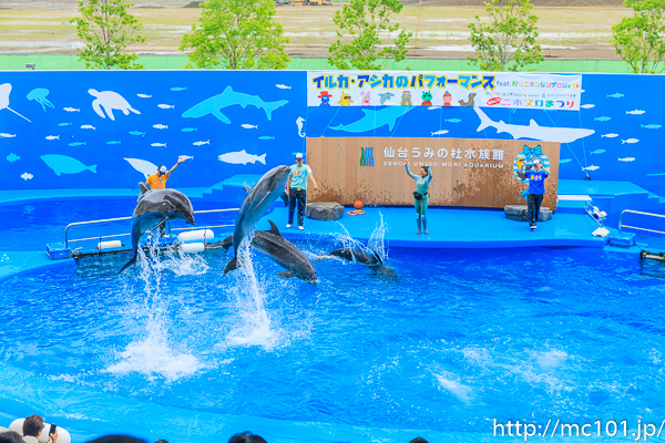 [写真]