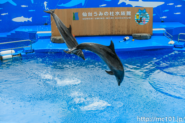 [写真]
