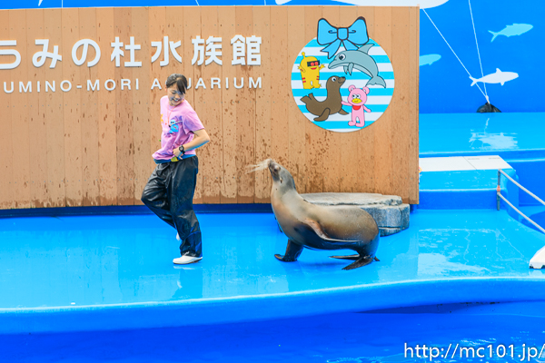 [写真]