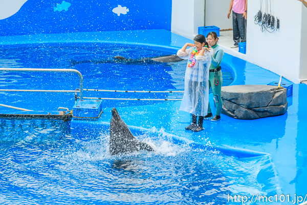 [写真]