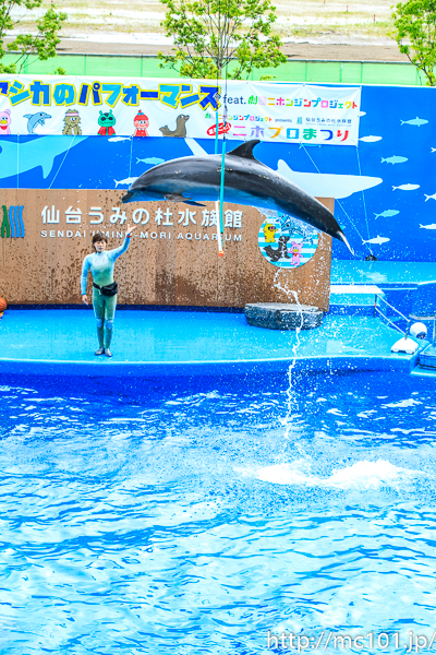 [写真]