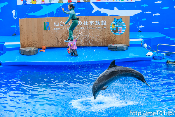 [写真]