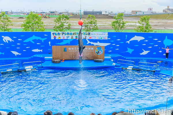 [写真]