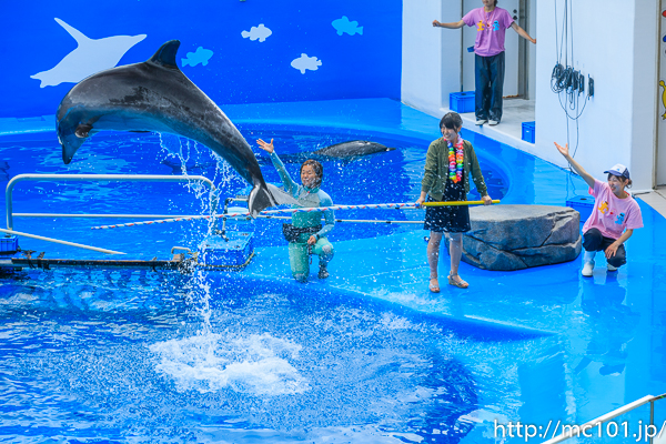 [写真]