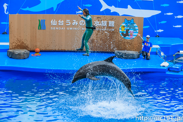 [写真]