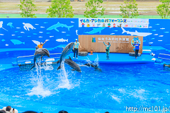 [仙台うみの杜水族館] イルカ・アシカのパフォーマンス(13時の回)(14)