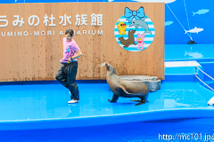 [仙台うみの杜水族館] イルカ・アシカのパフォーマンス(14時30分の回)(4)