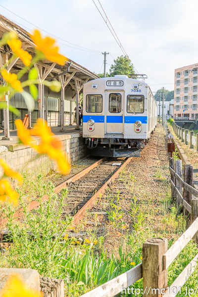 [写真]
