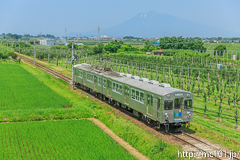 [弘南鉄道大鰐線津軽大沢～松木平間] 16列車、7000系7033F