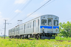 [弘南鉄道大鰐線津軽大沢～松木平間] 貸切550列車、7000系7039F